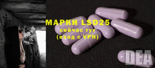 PSILOCYBIN Алзамай