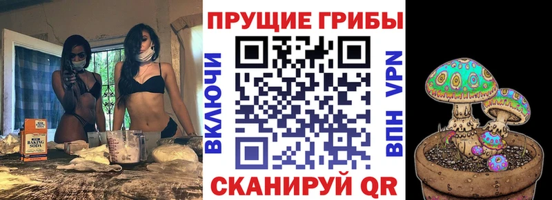 где купить наркоту  Тверь  Псилоцибиновые грибы MAGIC MUSHROOMS 